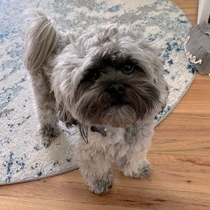 Meet your Posher, Nicole